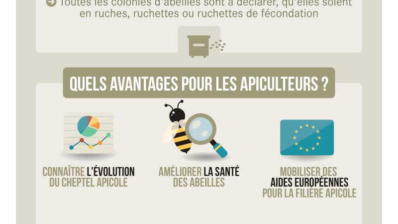 Déclarez vos ruches