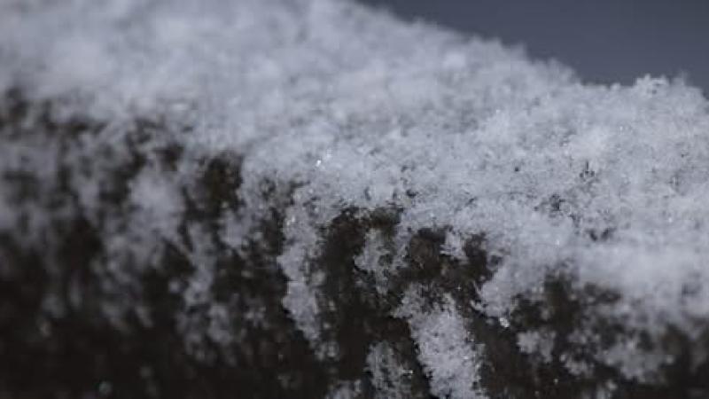 Alerte météo : info collecte des déchets