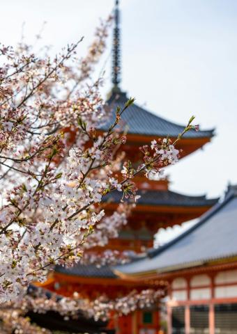 Week-end festif à la Médiathèque : Projection d’un animé surprise